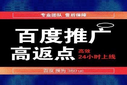 行业领先企业的网站sem托管实践